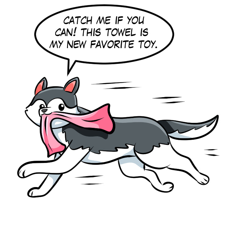 Huskies and hand grenades cartoon husky stealing a towel to chew on it later